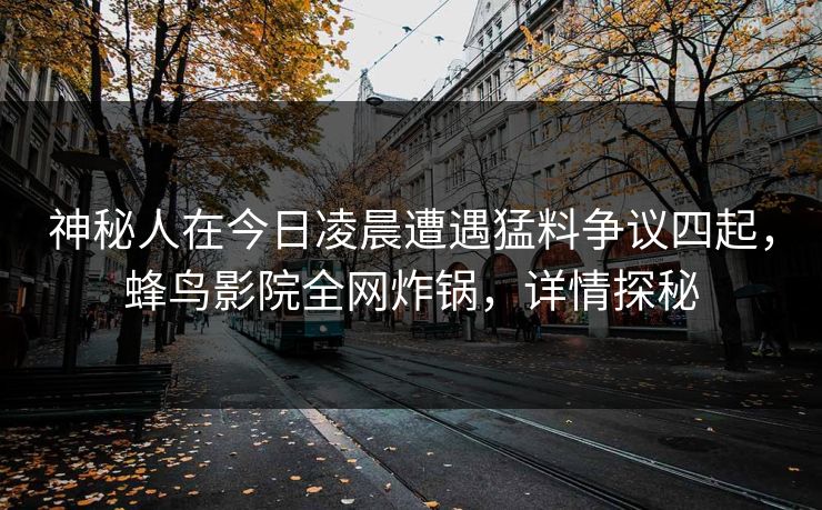 神秘人在今日凌晨遭遇猛料争议四起，蜂鸟影院全网炸锅，详情探秘