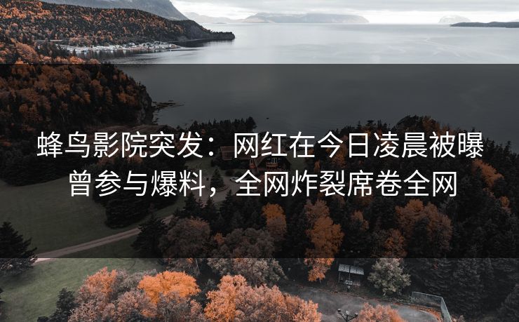 蜂鸟影院突发:网红在今日凌晨被曝曾参与爆料,全网炸裂席卷全网 蜂鸟影院突发:网红在今日凌晨被曝曾参与爆料,全网炸裂席卷全网