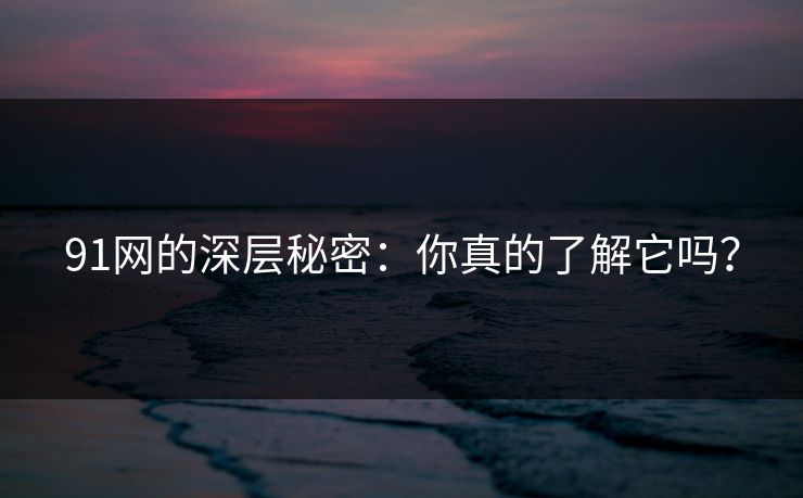 91网的深层秘密：你真的了解它吗？